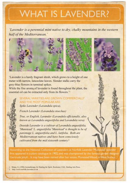 August 2013. The Lavender Project. Poster 2.