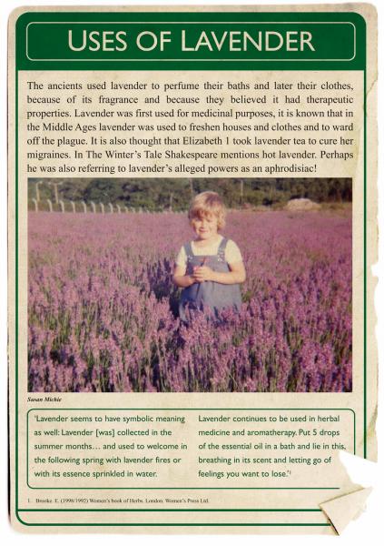 August 2013. The Lavender Project. Poster 3.
